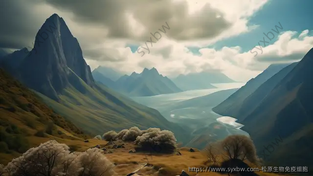 松原生物免疫细胞