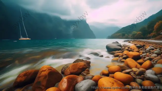 梅州自身免疫细胞疗法