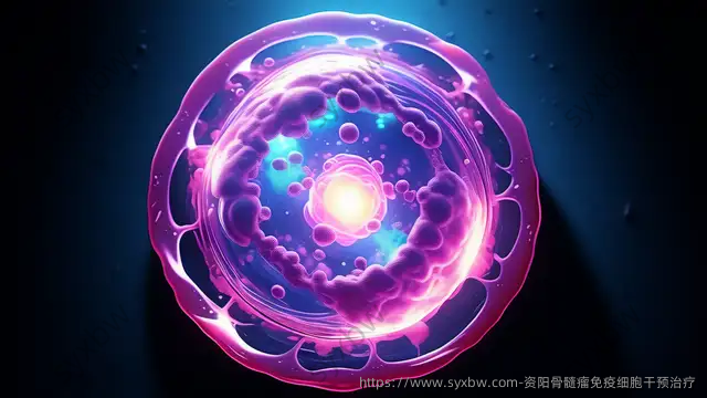 资阳骨髓瘤免疫细胞干预治疗