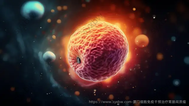 厦门细胞免疫干预治疗胃肠间质瘤